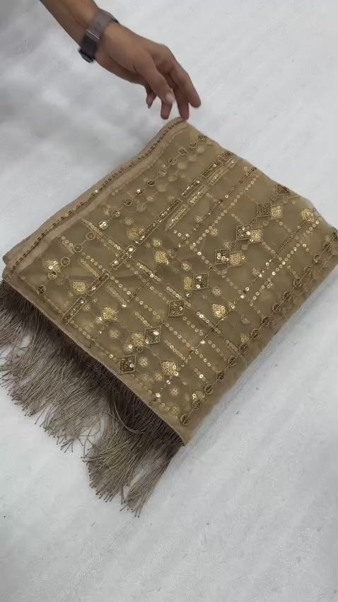 CLOVIRA Heavy Mono Net Saree with 5MM Multy & Sequins Embroidery Work