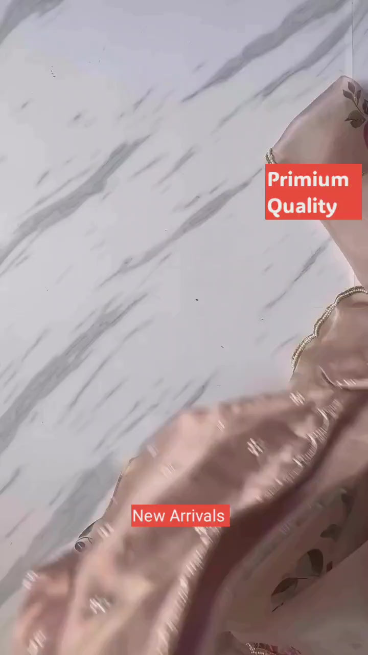 CLOVIRA Ready-to-Wear Tabby Organza Saree with Printed & Handwork Border | Luxurious Designer Collection